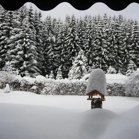 Casa vacanze Haus Edelweiss Comfortable Winterberg