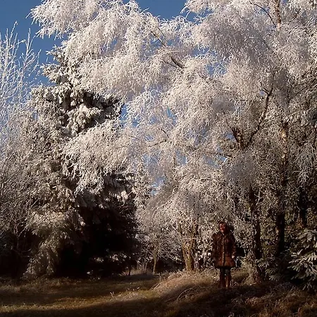 Haus Edelweiss Comfortable Будинок відпочинку *