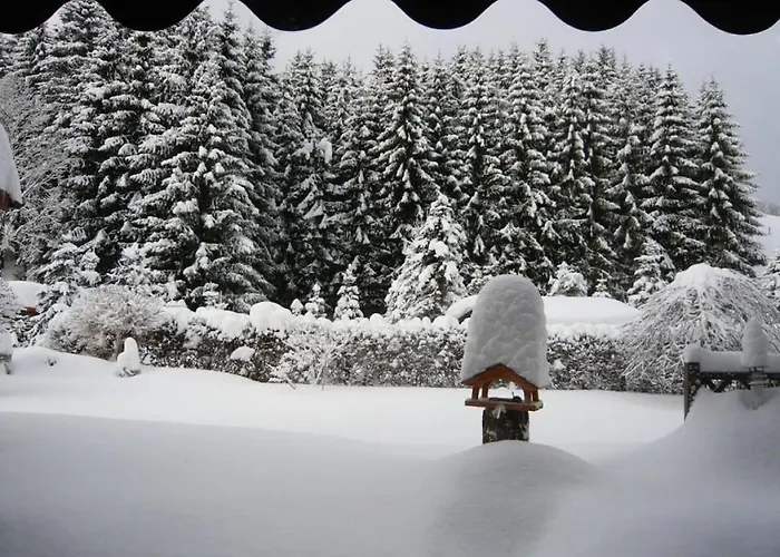 Semesterbostad Haus Edelweiss Comfortable Winterberg