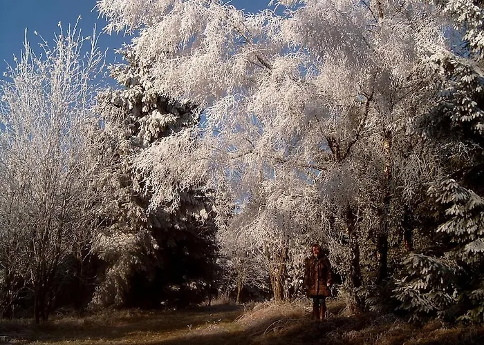 Haus Edelweiss Comfortable Semesterbostad *